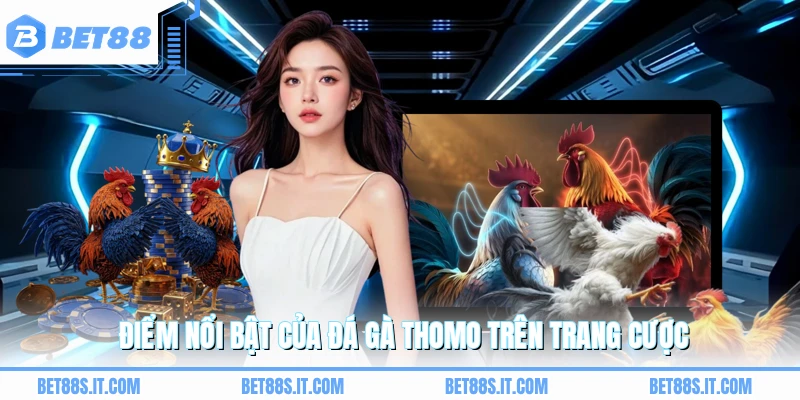 Điểm nổi bật của đá gà Thomo trên trang cược