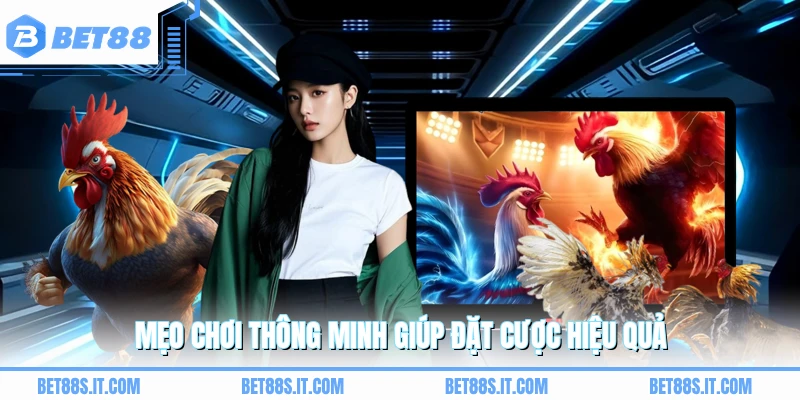 Mẹo chơi thông minh giúp đặt cược hiệu quả