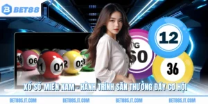 Xổ Số Miền Nam - Hành Trình Săn Thưởng Đầy Cơ Hội